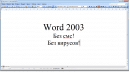 Microsoft-Word-2003