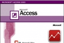 Microsoft-access-2003